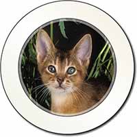 Face of an Abyssynian Cat Car or Van Permit Holder/Tax Disc Holder