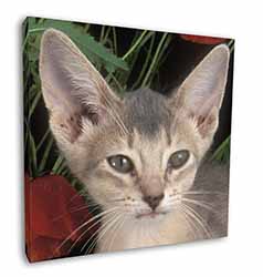 Face of a Blue Abyssynian Cat Square Canvas 12"x12" Wall Art Picture Print