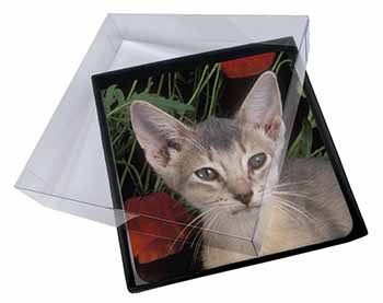 4x Face of a Blue Abyssynian Cat Picture Table Coasters Set in Gift Box