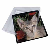 4x Face of a Blue Abyssynian Cat Picture Table Coasters Set in Gift Box