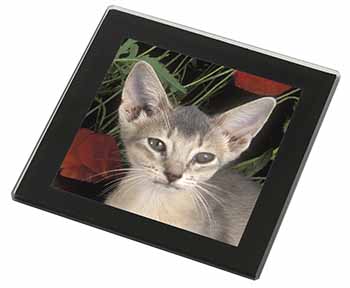Face of a Blue Abyssynian Cat Black Rim High Quality Glass Coaster