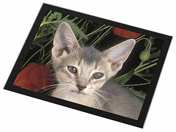 Face of a Blue Abyssynian Cat Black Rim High Quality Glass Placemat