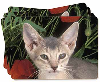 Face of a Blue Abyssynian Cat Picture Placemats in Gift Box