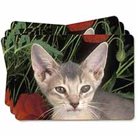 Face of a Blue Abyssynian Cat Picture Placemats in Gift Box