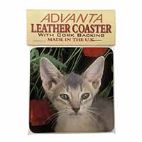 Face of a Blue Abyssynian Cat Single Leather Photo Coaster