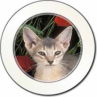 Face of a Blue Abyssynian Cat Car or Van Permit Holder/Tax Disc Holder