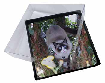 4x Ragdoll Cat in Tree Picture Table Coasters Set in Gift Box