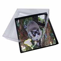 4x Ragdoll Cat in Tree Picture Table Coasters Set in Gift Box