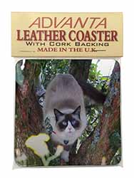 Ragdoll Cat in Tree Single Leather Photo Coaster