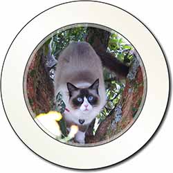 Ragdoll Cat in Tree Car or Van Permit Holder/Tax Disc Holder