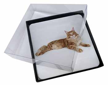 4x Red Maine Coon Cat Picture Table Coasters Set in Gift Box