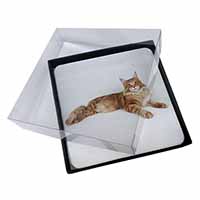 4x Red Maine Coon Cat Picture Table Coasters Set in Gift Box