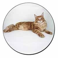 Red Maine Coon Cat Fridge Magnet Printed Full Colour