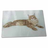 Large Glass Cutting Chopping Board Red Maine Coon Cat
