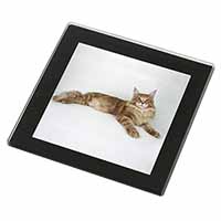 Red Maine Coon Cat Black Rim High Quality Glass Coaster