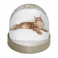 Red Maine Coon Cat Snow Globe Photo Waterball