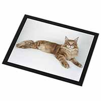 Red Maine Coon Cat Black Rim High Quality Glass Placemat