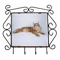 Red Maine Coon Cat Wrought Iron Key Holder Hooks
