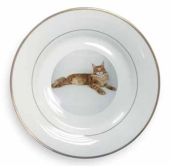 Red Maine Coon Cat Gold Rim Plate Printed Full Colour in Gift Box