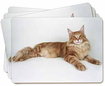 Red Maine Coon Cat Picture Placemats in Gift Box