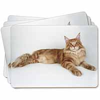 Red Maine Coon Cat Picture Placemats in Gift Box