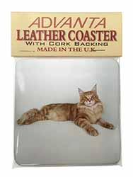 Red Maine Coon Cat Single Leather Photo Coaster