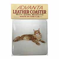 Red Maine Coon Cat Single Leather Photo Coaster