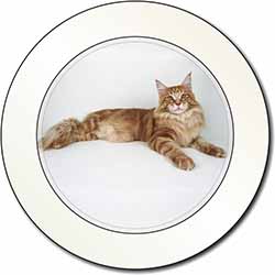 Red Maine Coon Cat Car or Van Permit Holder/Tax Disc Holder