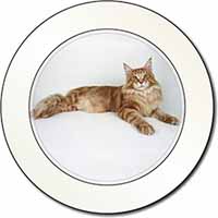 Red Maine Coon Cat Car or Van Permit Holder/Tax Disc Holder