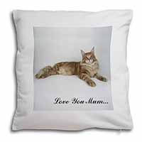 Maine Coon Cat 