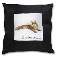 Maine Coon Cat 