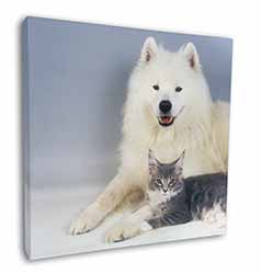 Samoyed and Cat Square Canvas 12"x12" Wall Art Picture Print