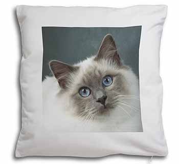 Face of a Beautiful Birman Cat Soft White Velvet Feel Scatter Cushion