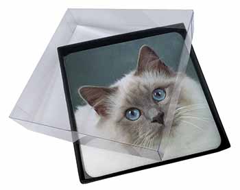 4x Face of a Beautiful Birman Cat Picture Table Coasters Set in Gift Box