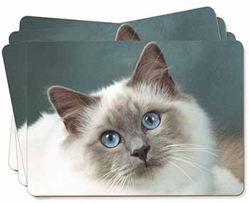 Face of a Beautiful Birman Cat Picture Placemats in Gift Box