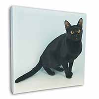 Pretty Black Bombay Cat Square Canvas 12"x12" Wall Art Picture Print