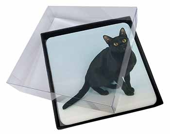 4x Pretty Black Bombay Cat Picture Table Coasters Set in Gift Box
