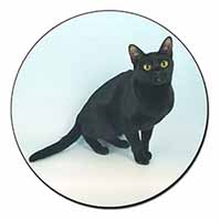 Pretty Black Bombay Cat Fridge Magnet Printed Full Colour