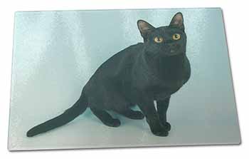 Large Glass Cutting Chopping Board Pretty Black Bombay Cat