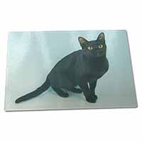 Large Glass Cutting Chopping Board Pretty Black Bombay Cat