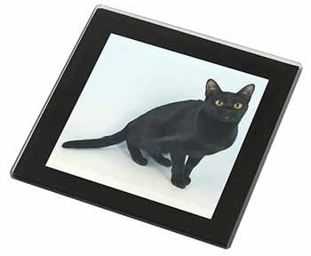 Pretty Black Bombay Cat Black Rim High Quality Glass Coaster