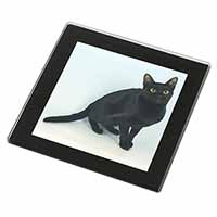 Pretty Black Bombay Cat Black Rim High Quality Glass Coaster