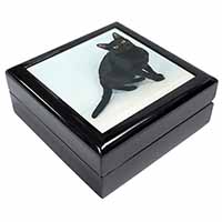 Pretty Black Bombay Cat Keepsake/Jewellery Box
