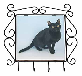 Pretty Black Bombay Cat Wrought Iron Key Holder Hooks