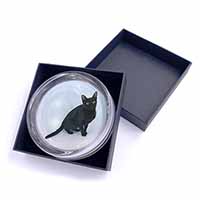 Pretty Black Bombay Cat Glass Paperweight in Gift Box