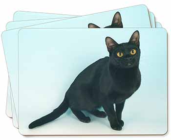 Pretty Black Bombay Cat Picture Placemats in Gift Box