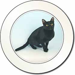 Pretty Black Bombay Cat Car or Van Permit Holder/Tax Disc Holder