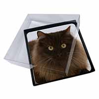 4x Chocolate Brown Cats Face Picture Table Coasters Set in Gift Box