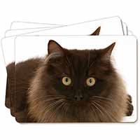 Chocolate Brown Cats Face Picture Placemats in Gift Box
