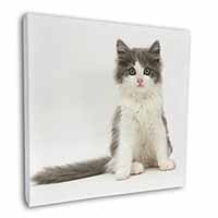 Cute Grey and White Kitten Square Canvas 12"x12" Wall Art Picture Print